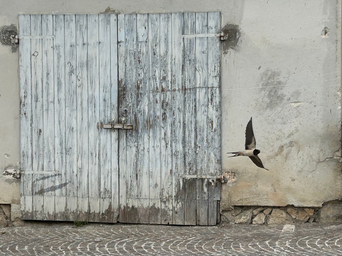 “Una goccia di luna tra l’erba” … (Jules Renard, Storie naturali, Elliot&nbsp;2013)