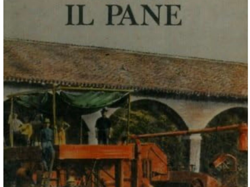 Libro d’altri tempi, questioni attuali: Armide Broccoli, Chiamavano pane il pane, Edagricole&nbsp;1969
