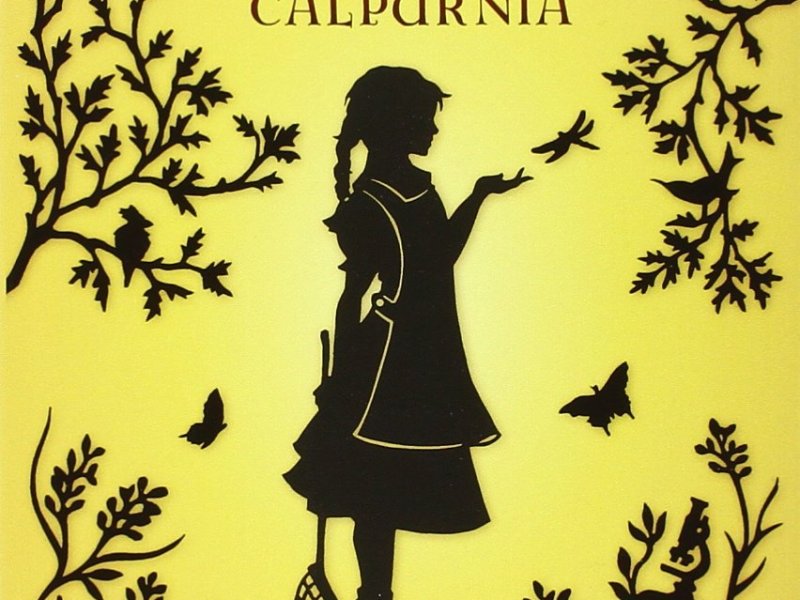 Tra libro e stagno. Avventure&nbsp;estive